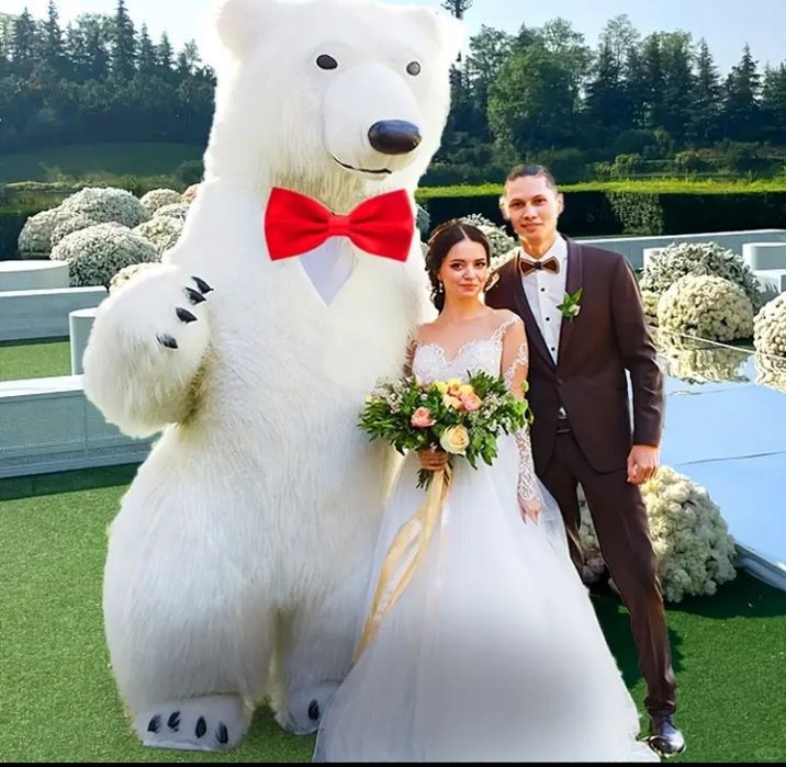 Miś Yogi na Imprezy 2,5 m