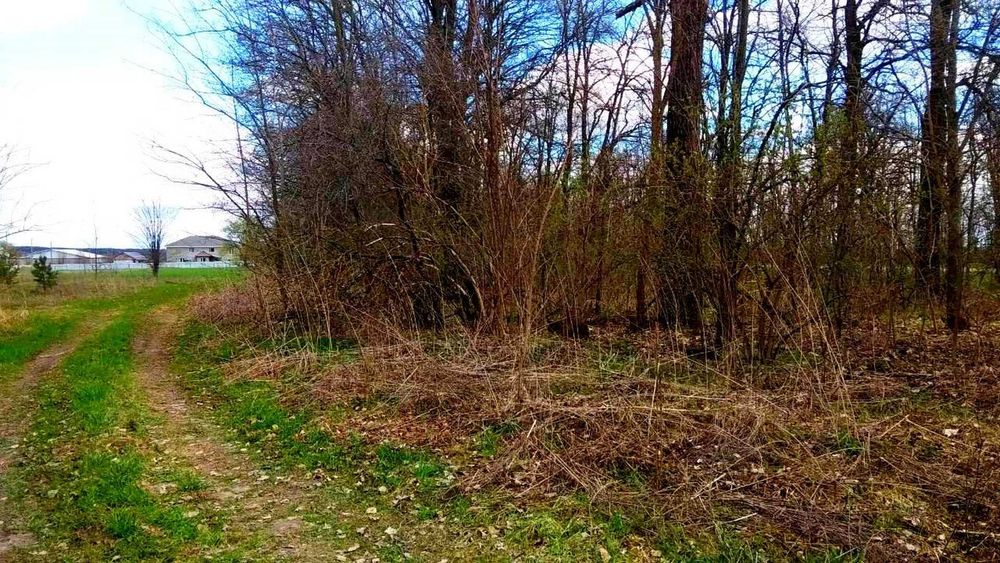 TO Земельна ділянка під будівництво у передмісті Чернігова