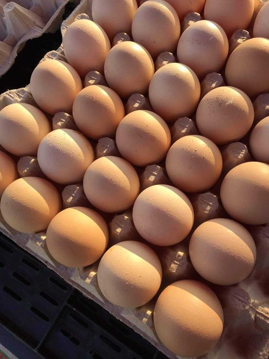 Warzywa ziemniaki hurt detal