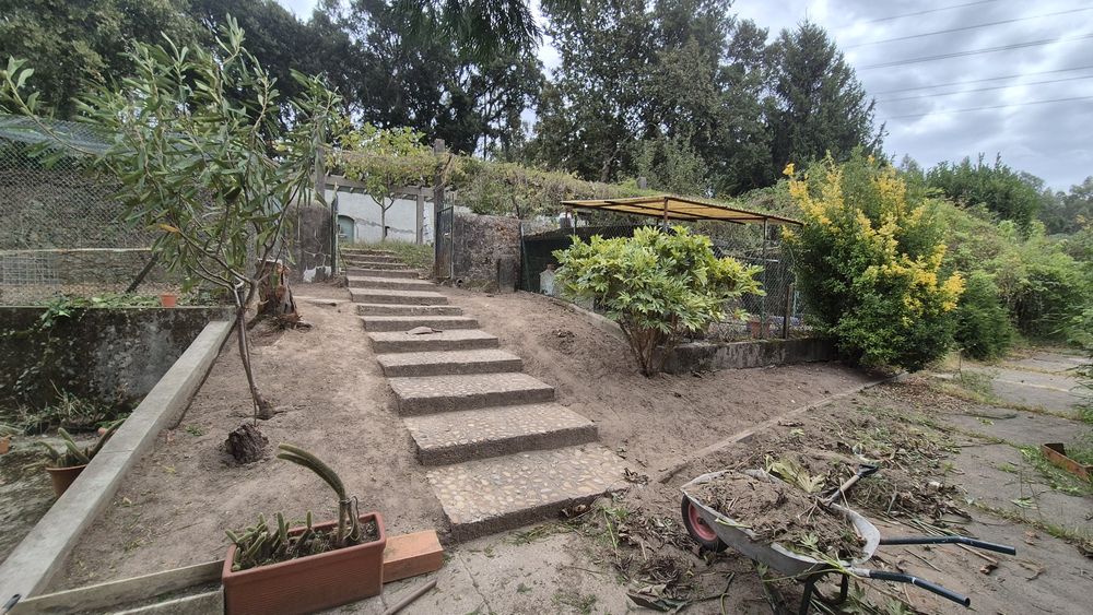 Serviços de Jardinagem, Limpezas Exteriores & Lavagem Auto