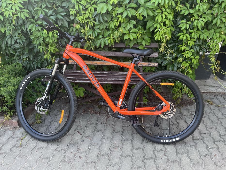 Rower MTB Radvik