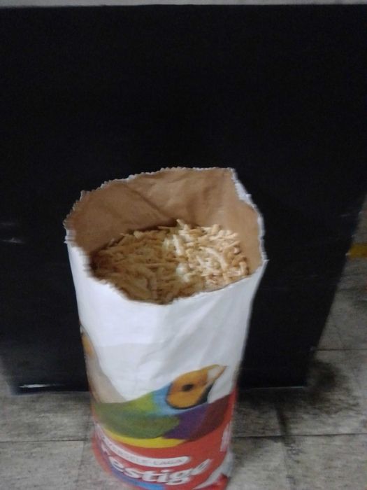 Aparas de madeira pinho macia