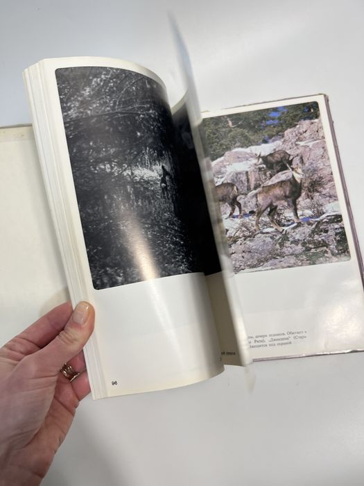 Книга на лони природи, книга природознавство
