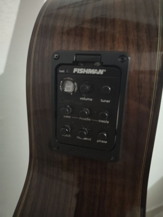 Guitarra Paco Castillo 205