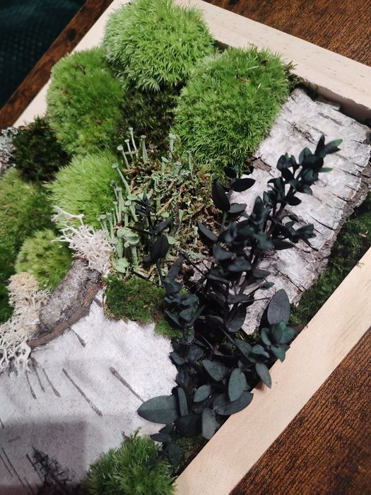 Żywy obraz z mchu i kory. 100% naturalny