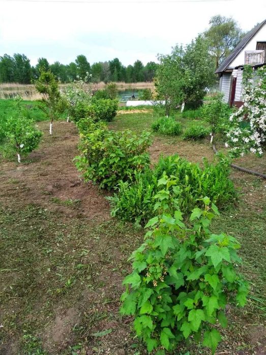 Продаж 2-х будинків на одній земельній ділянці біля річки Дніпро. Працюємо за усіма державними та кредитними програмами!!!