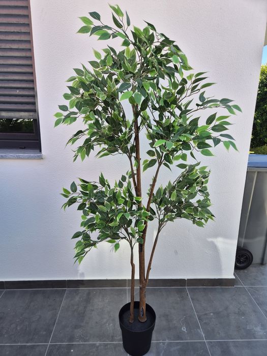 Plantas Artificiais Novas