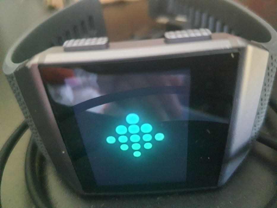 Smartwatch relogio Fitbit ionic peças