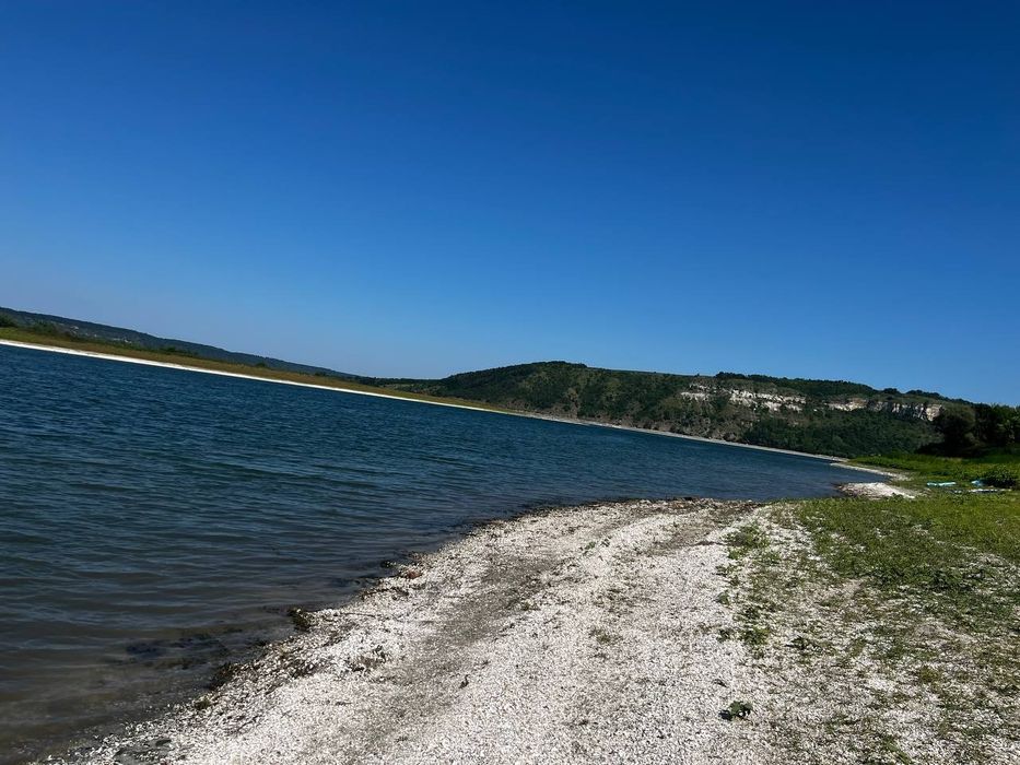 Відпочинок "Лісова тиша"