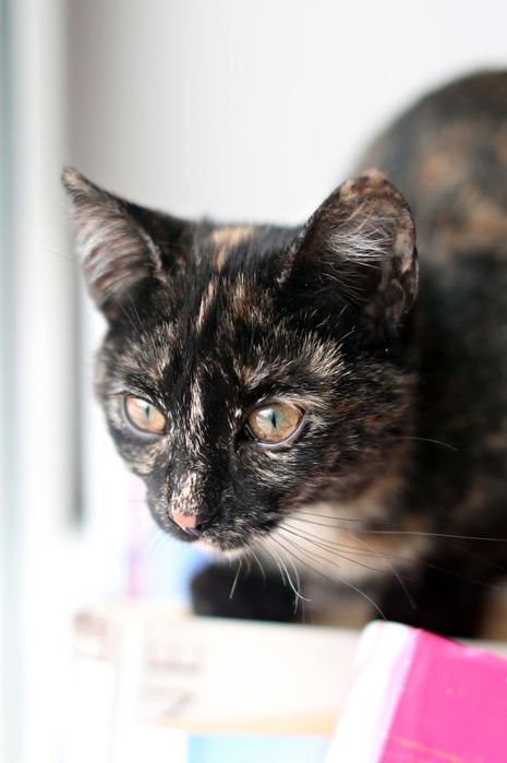 Daj nam dom i siebie.