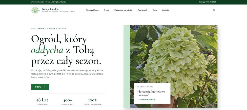 Tworzenie stron internetowych i sklepów online dla firm