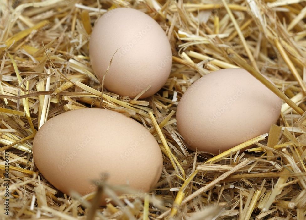 Jajka wiejskie ekologiczne