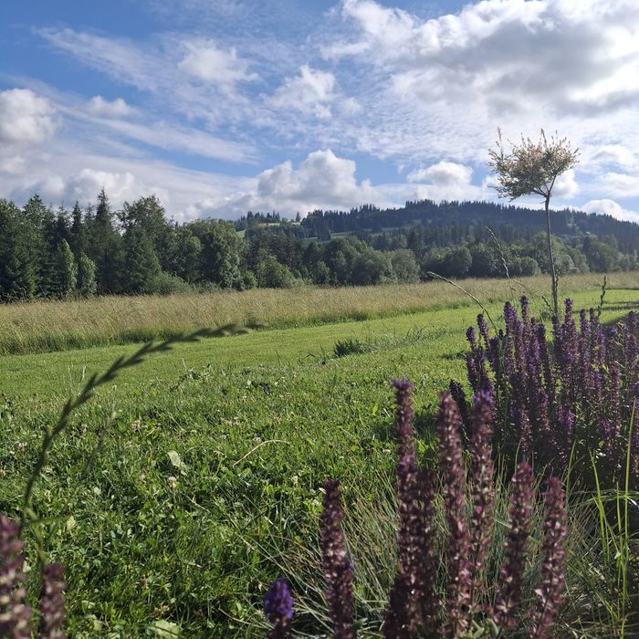 Domek Na Poludnie Białka Tatrzańska balia