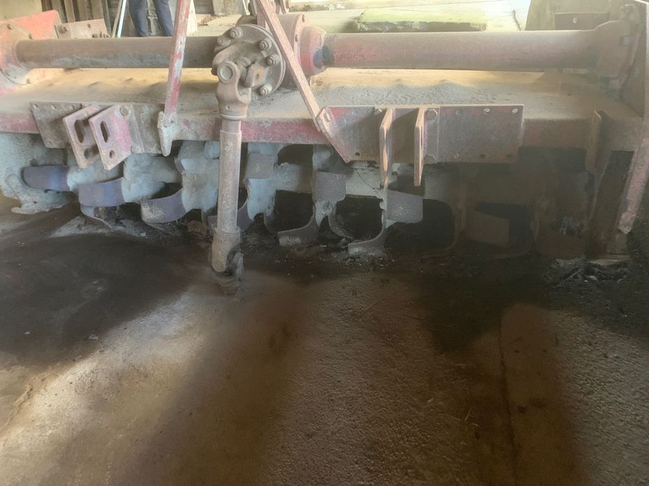 Fresa Herculano 1.80m