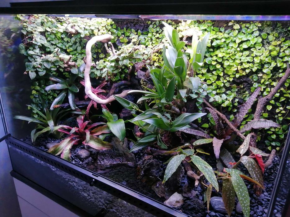 Terrário Exo Terra 90 x 60 x 45 cm