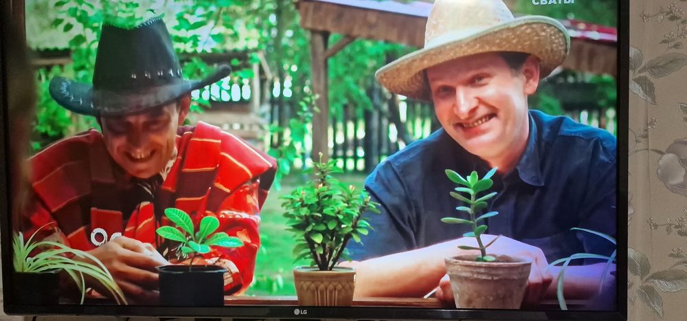 Смарт тв LG 43 UJ6307