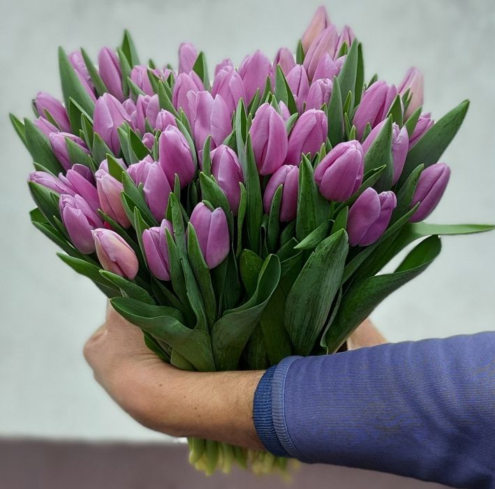Тюльпаны!!! 51шт, 101шт,201шт,тюльпани,цветы,букеты,букети,квіти, тюль