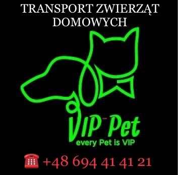 VIP Pet Przewóz transport zwierząt domowych psy koty itp.