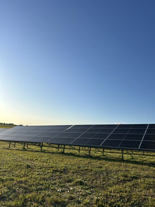 Koszenie trawy roślinności farm fotowoltaicznych farmy PV