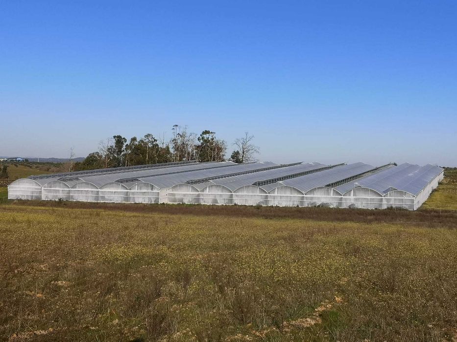Propriedade em regadio 20 hectares para arrendar / Alugar