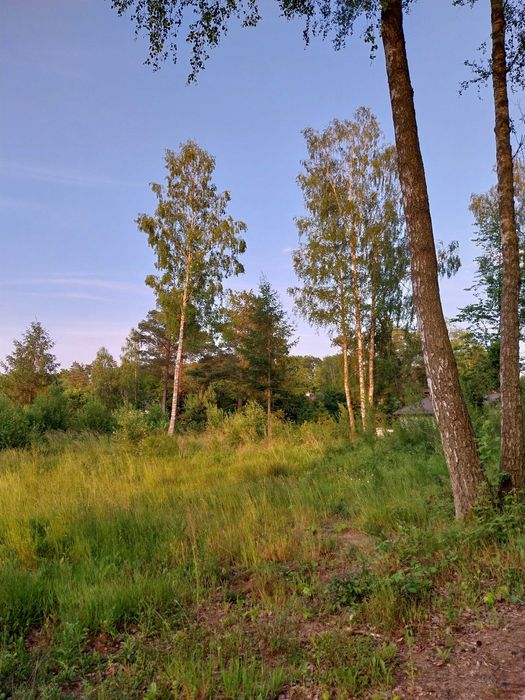 Działka budowlana z mediami 1280 m², Rekowo Górne ul. Świerkowa - Widok 6