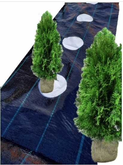 Agrotkanina duże OTWORY pod TUJE , borówkę itp. 60 cm x 50m