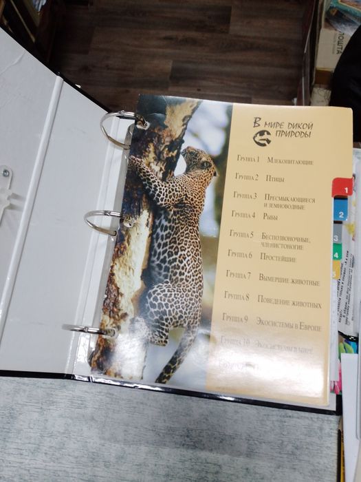 Сад моей мечти  Енциклопедія підписка журналів папки