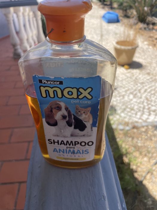 Casota e todo material para caes
