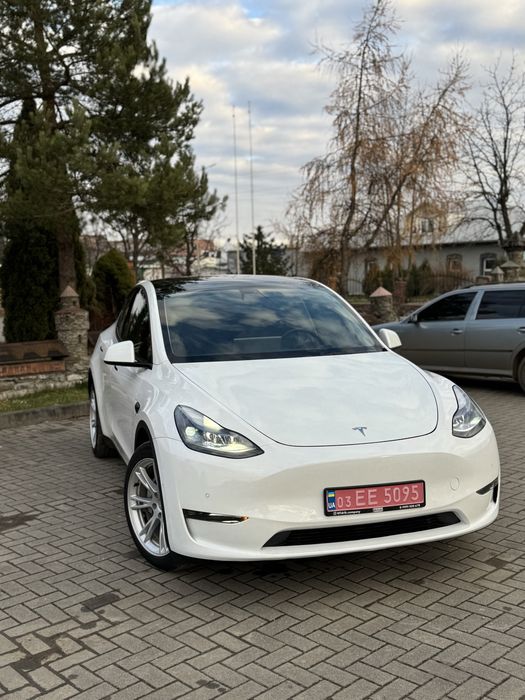 Tesla Model Y Long Range Dual Motor 82 кВт 2021