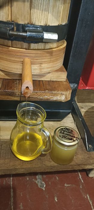 Масло  грецкого ореха,Олія горіха Волоського ,масло ореха Грецько