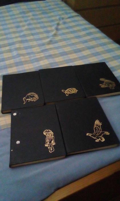 Livros O Maravilhoso Mundo dos Animais  ( 5 Livros )