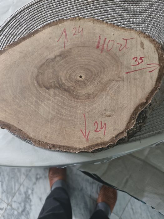 Plaster drzewa orzech 4cm grubość