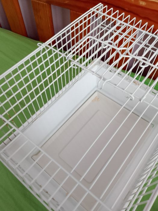 Transporter dla gryzoni