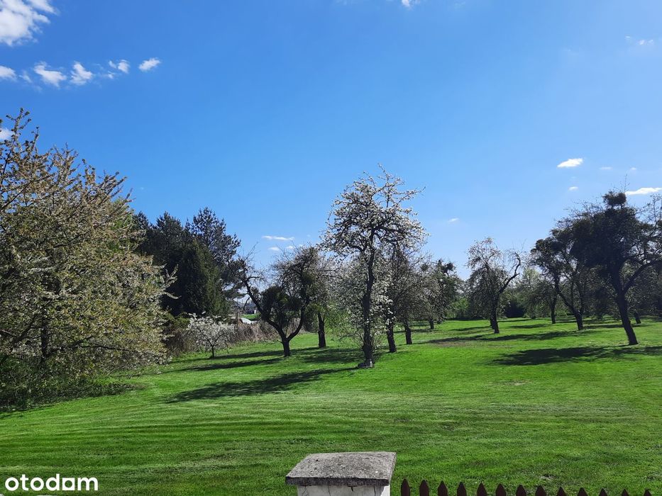 Działka 6600 m2 | Dom 170 m2| Media | 2 dojazdy | Możliwy podział