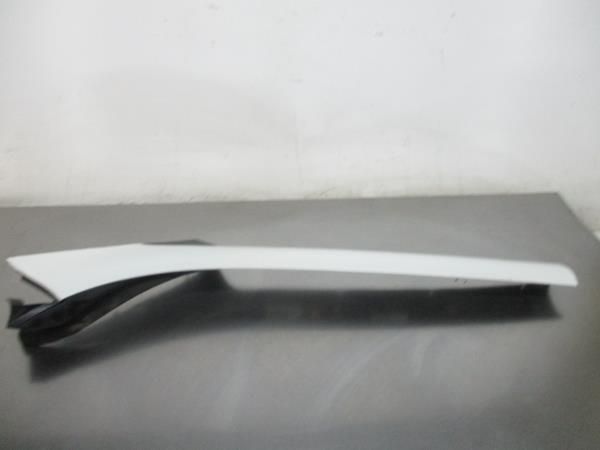 Friso / Frisos RENAULT Scénic III (JZ0/1_)