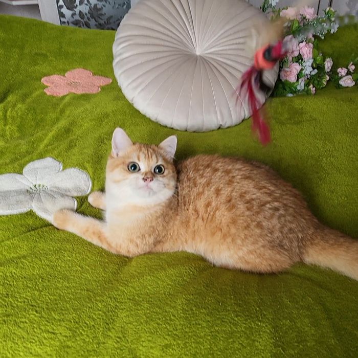 Мальчик -красавчик!