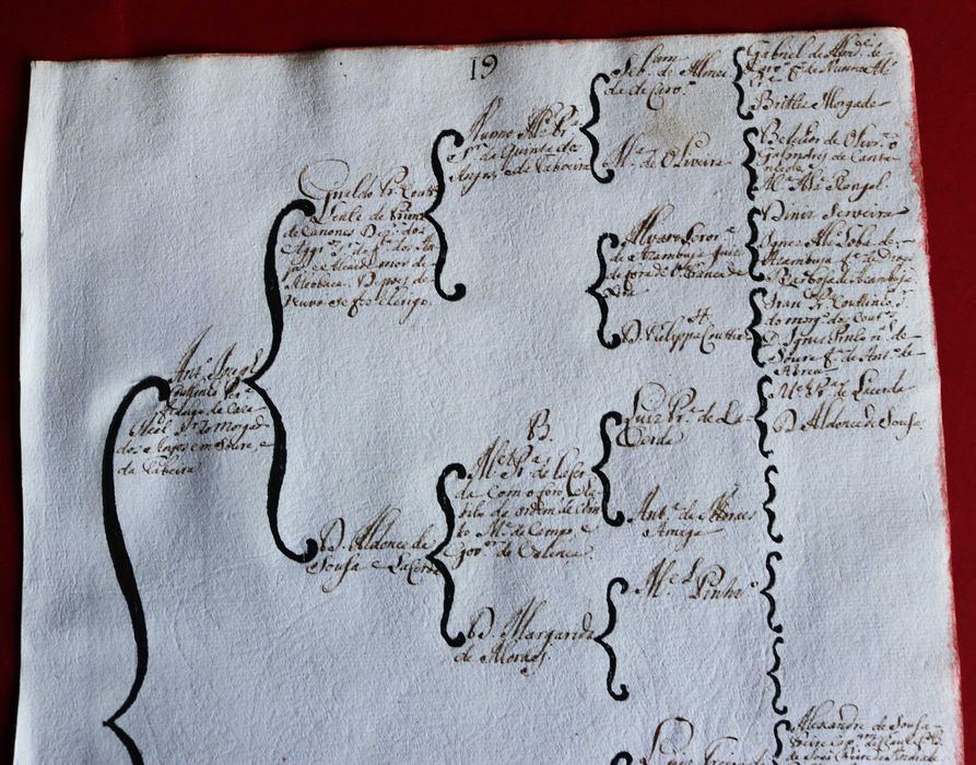 Costados de António Jorge Pereira Coutinho, Soure 1746