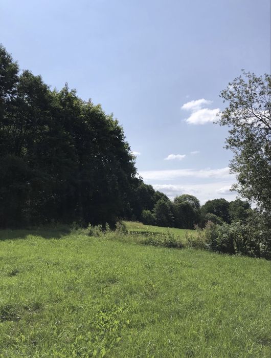 Działka z WZ, piękna okolica, Głusino