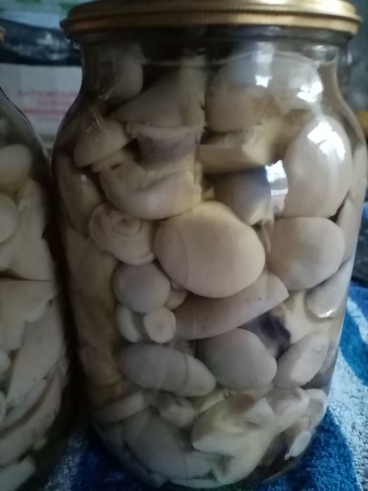 Продам мариновані гриби