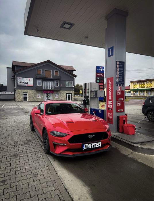 Wynajem Ford Mustang GT 5.0 V8 Automat