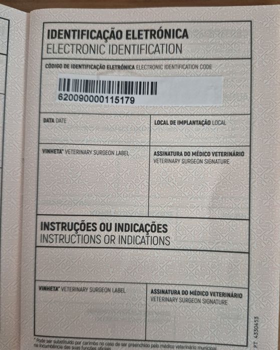 Spitz Alemão Anão Fêmea Mini 4 Meses Com LOP e Afixo Criadora Registada PT 30