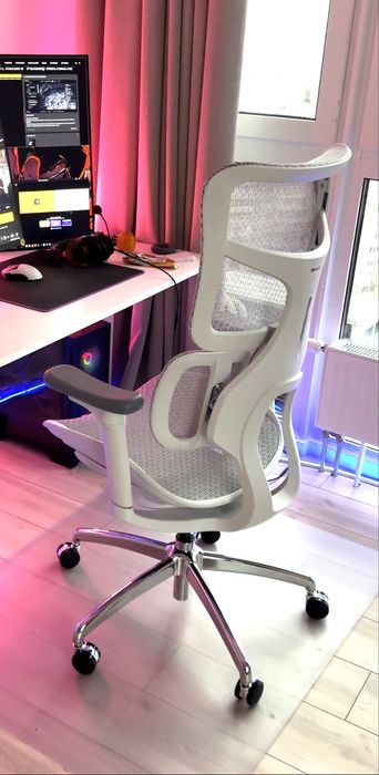 Крісло офісне ергономічне SIHOO DORO S100 Mesh White (S100-M302)