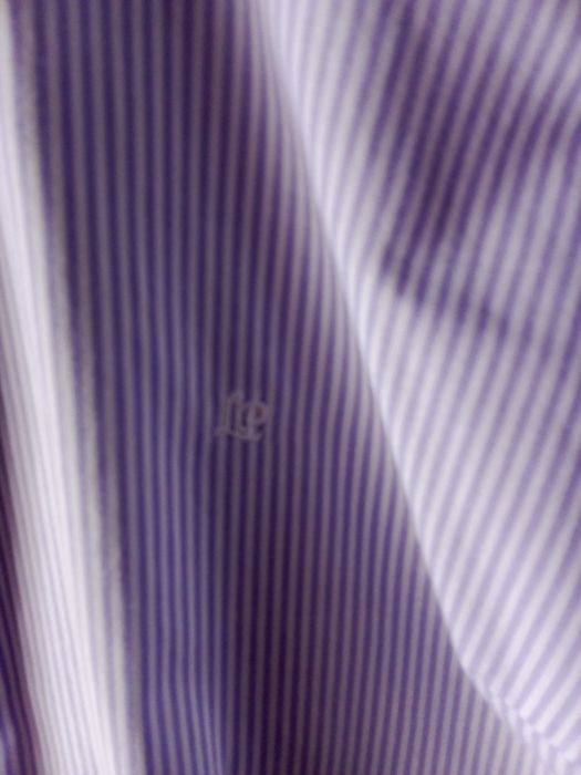 Camisa de senhora,L, Lion of Porches