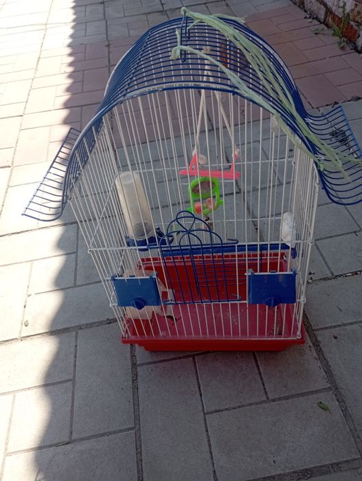 Продам клітку для папуги