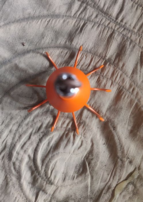 Polveiras para pesca ao polvo