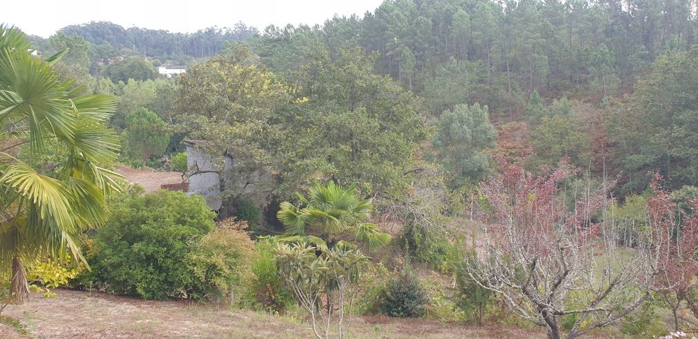 Quintinha em Amarante