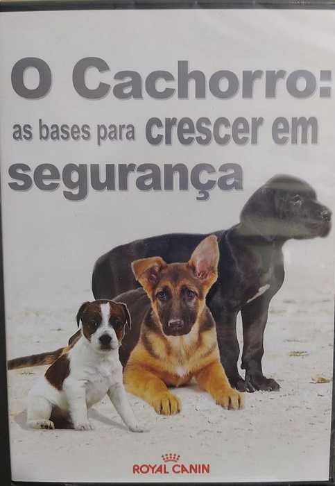 The Dog: The Foundations for Growing Up Safely DVD – Free Shipping64738891729537120