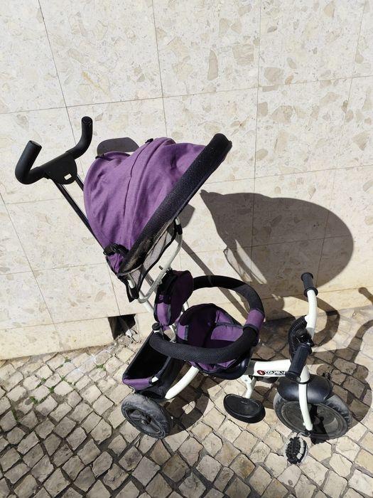 Triciclo evolutivo