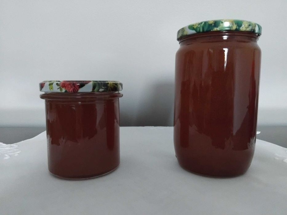 Miód wielokwiatowy lesny