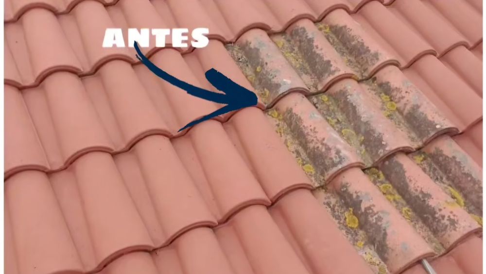 Lavagem e Impermeabilização de Telhados e Algerozes.